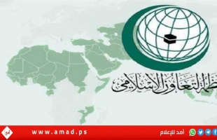 محدث -في لقاء جدة.."التعاون الإسلامي" تؤكد مركزية القضية الفلسطينية