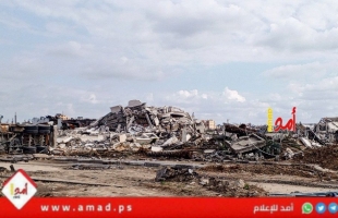 رويترز: الإمارات اقترحت إقامة تحالف دولي لإدارة قطاع غزة بعد الحرب