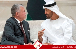 الملك عبد الله وبن زايد يشددان على ضرورة الوقف الفوري للحرب على غزة وإدامة تدفق المساعدات