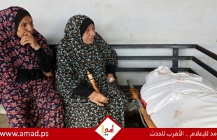 شهداء وعشرات الإصابات في غارات إسرائيلية على غزة وبيت لاهيا