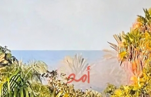 "واينت": هدف المسيرات التي أطلقت من لبنان هو مقر إقامة نتنياهو في قيساريا - فيديو