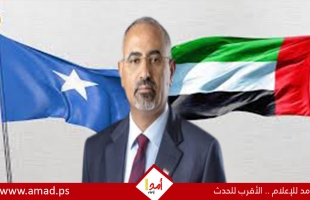 خطوة غير مسبوقة..الصومال يلغي جميع الاتفاقيات الثنائية مع الإمارات